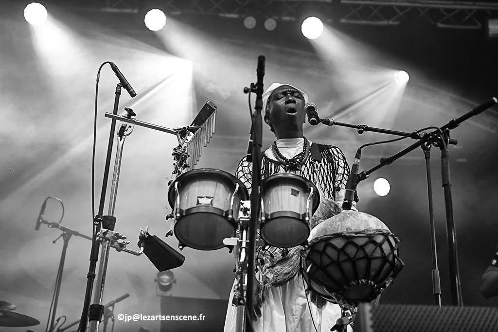Koto Brawa en concert, photo 3