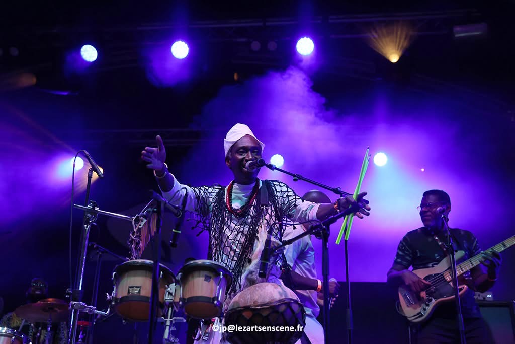 Koto Brawa en concert, photo 5